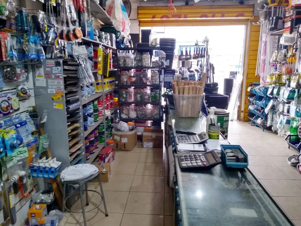Loja-Salão, 300 m² - Foto 3
