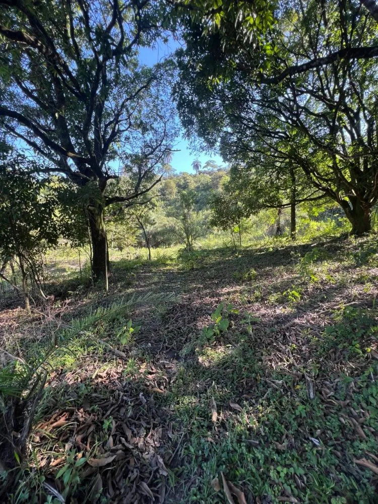 Chácara, 1 quarto - Foto 2