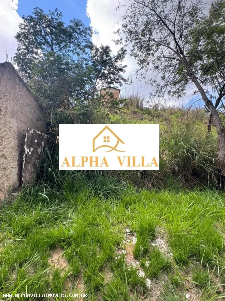 Terreno, 529 m² - Foto 5