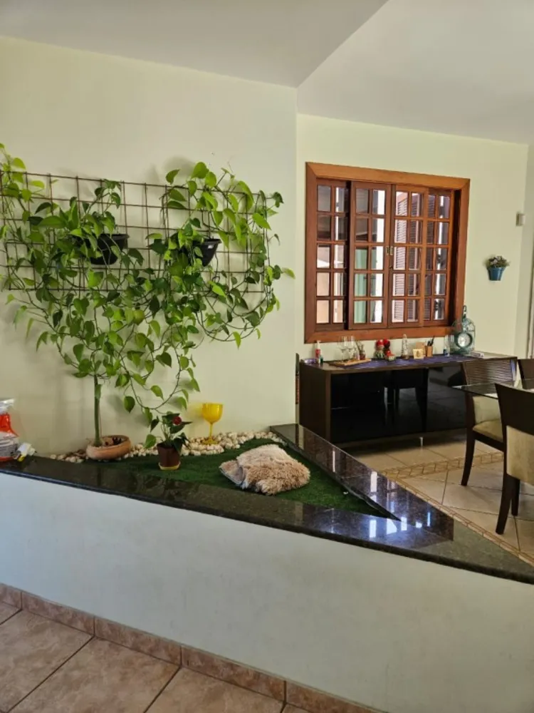 Casa, 4 quartos, 317 m² - Foto 4