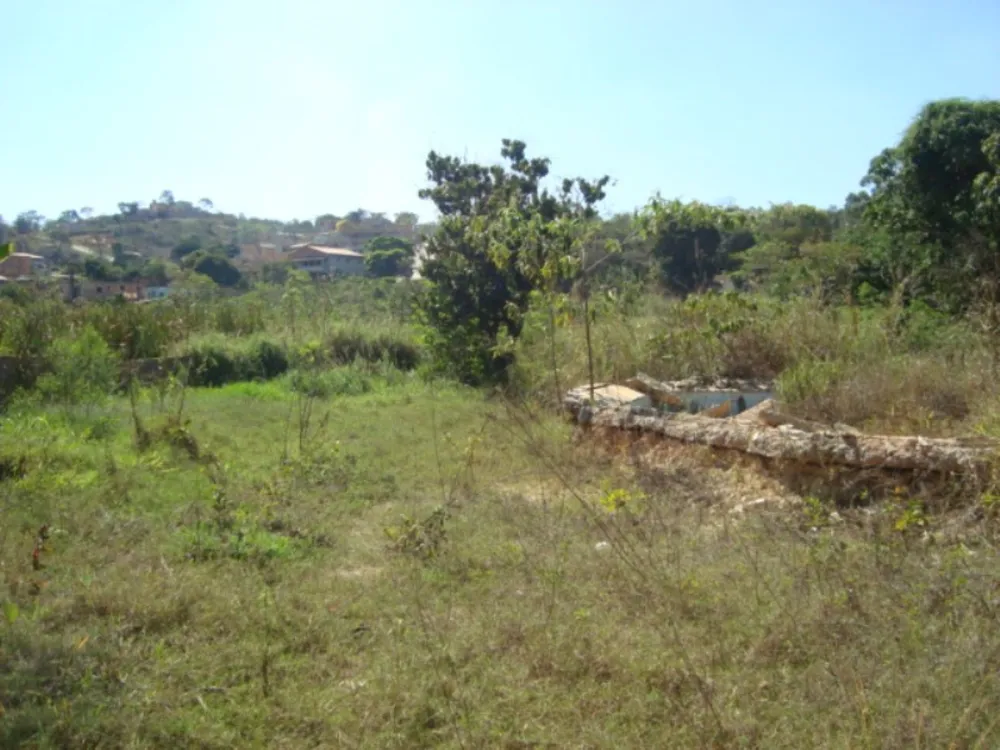 Terreno, 3742 m² - Foto 7