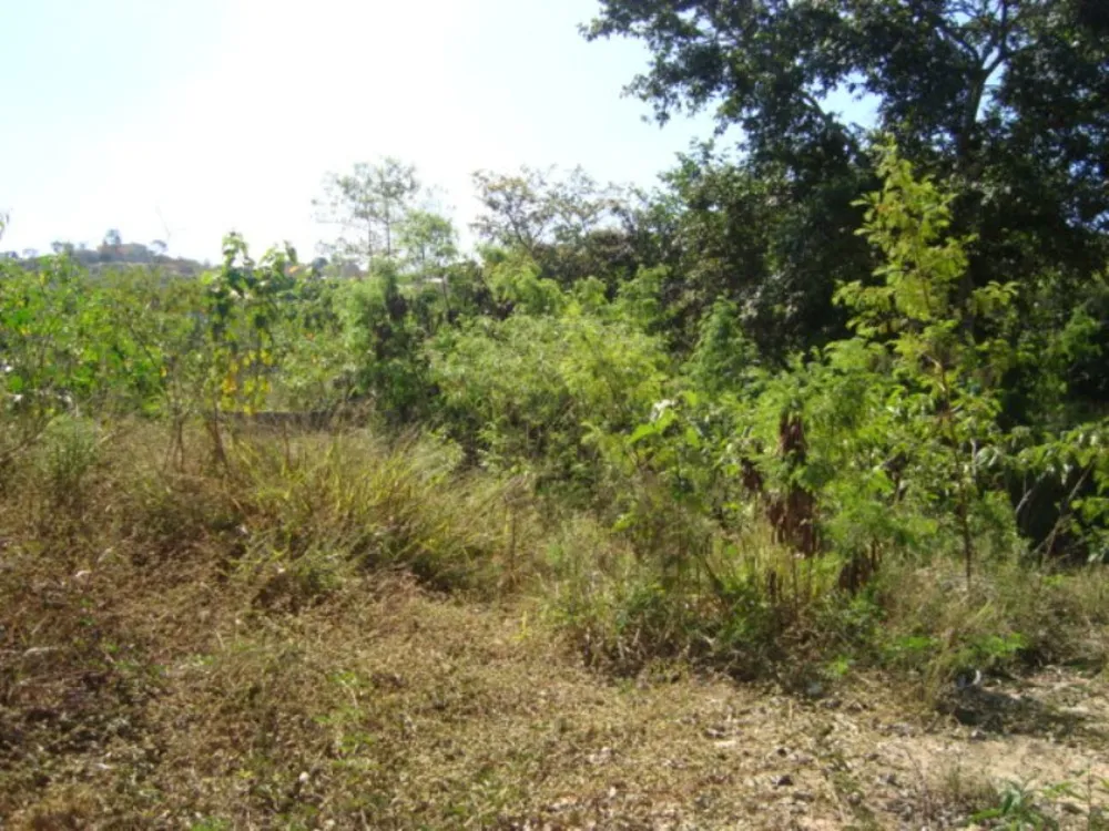 Terreno, 3742 m² - Foto 12
