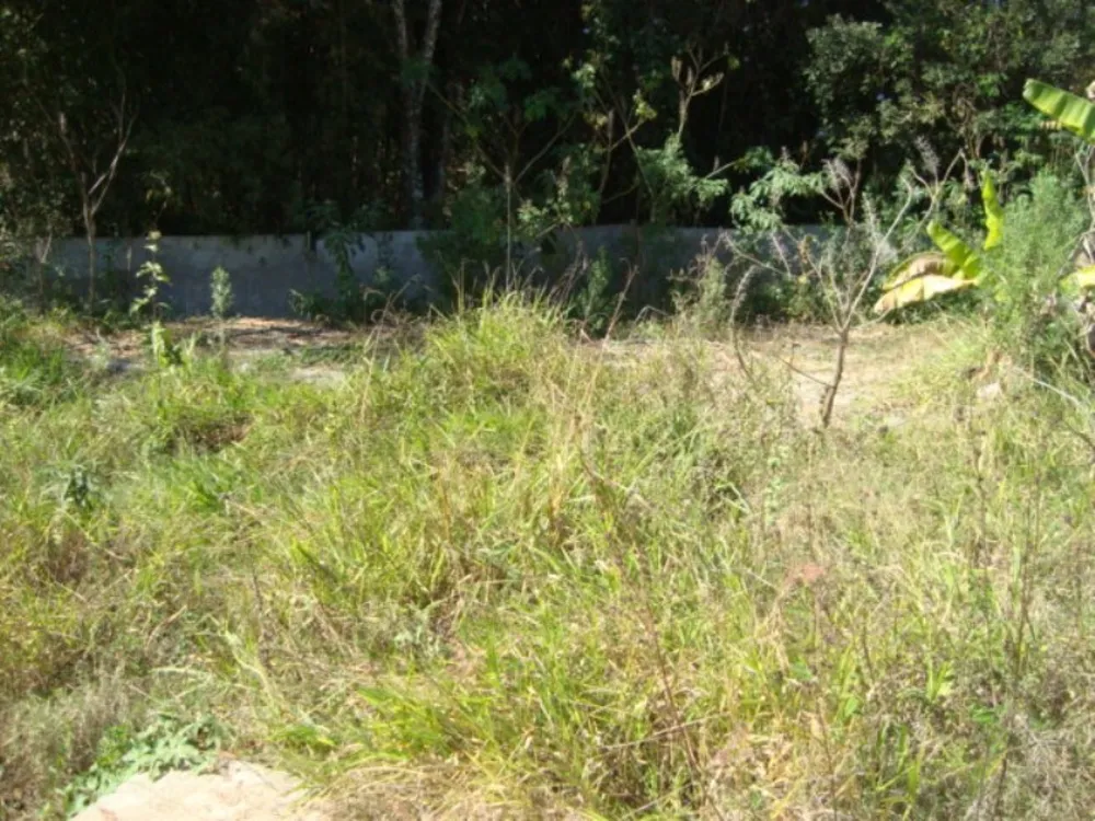 Terreno, 3742 m² - Foto 11