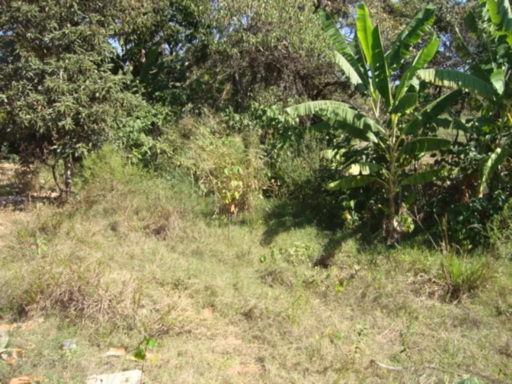 Terreno, 3742 m² - Foto 9
