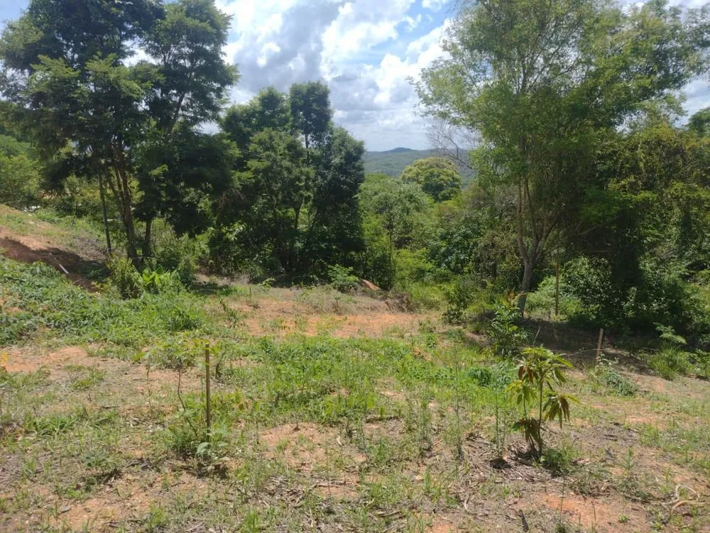 Terreno, 1000 m² - Foto 5