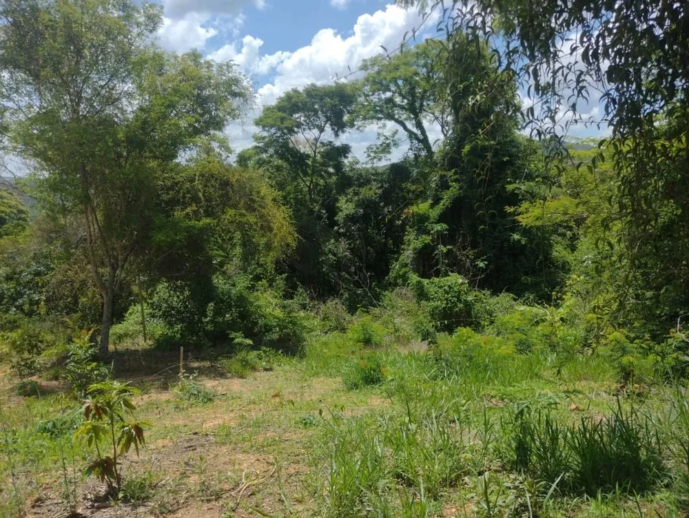 Terreno, 1000 m² - Foto 2