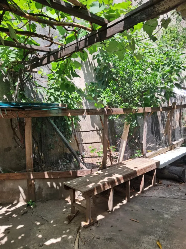 Casa, 2 quartos, 350 m² - Foto 5
