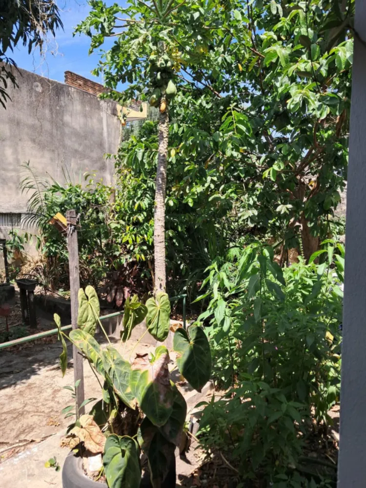 Casa, 2 quartos, 350 m² - Foto 12