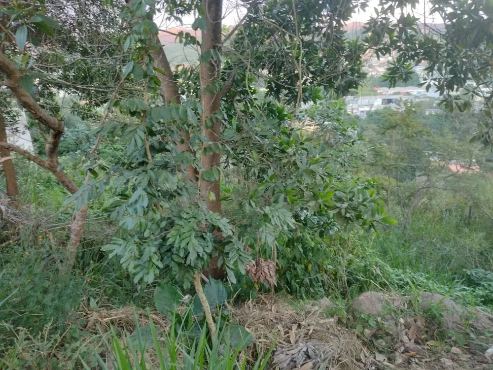 Terreno - Foto 6