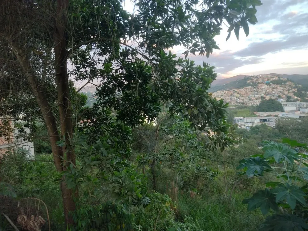 Terreno - Foto 5