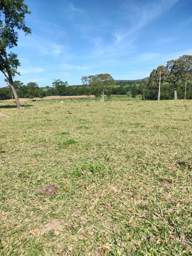 Fazenda, 30 hectares - Foto 2