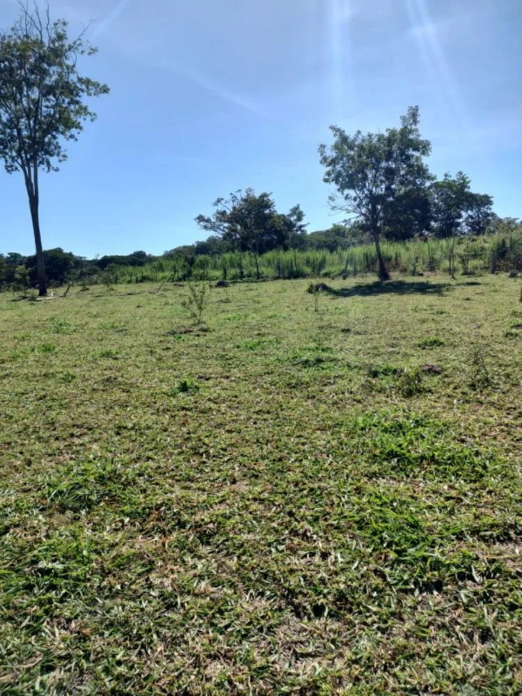 Fazenda, 30 hectares - Foto 9