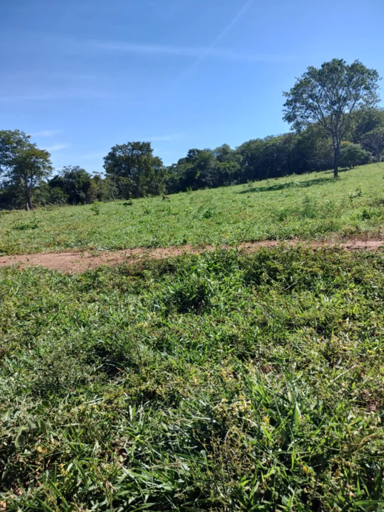 Fazenda, 30 hectares - Foto 4