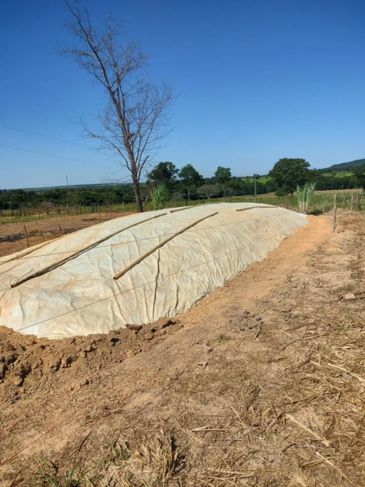 Fazenda, 30 hectares - Foto 12