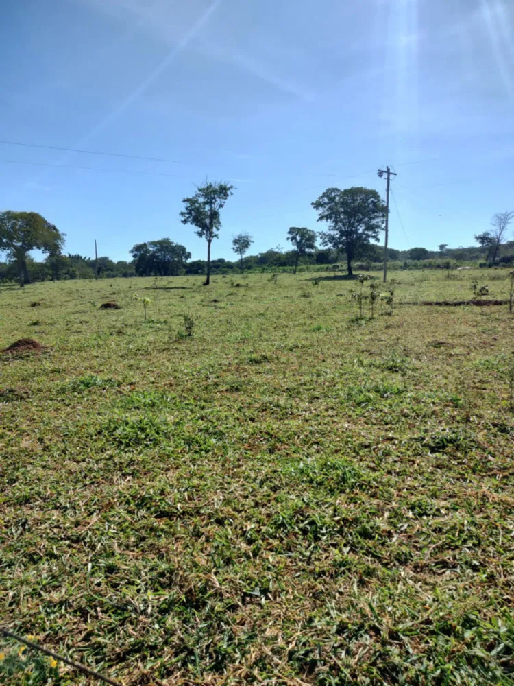 Fazenda, 30 hectares - Foto 5