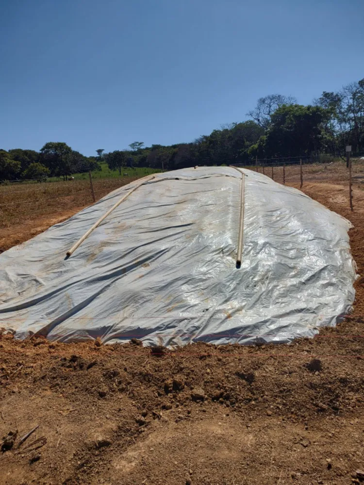 Fazenda, 30 hectares - Foto 11