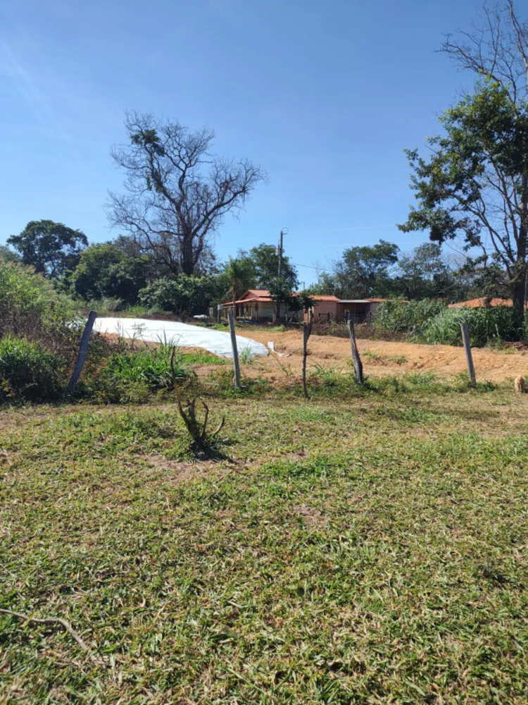 Fazenda, 30 hectares - Foto 3