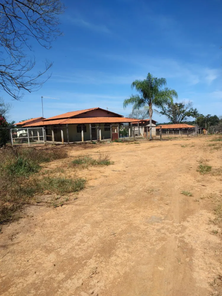 Fazenda, 30 hectares - Foto 8