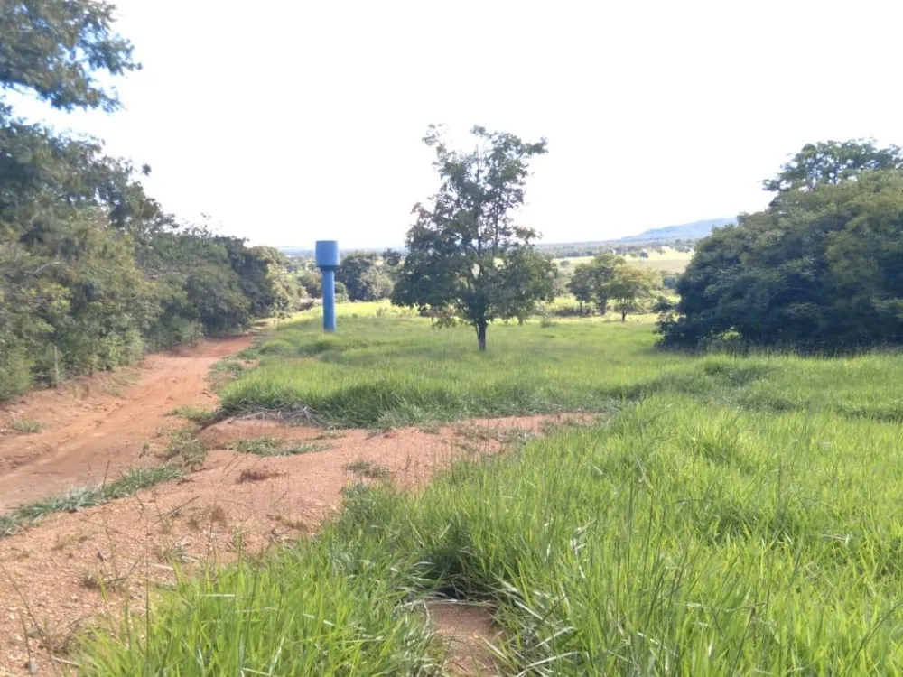 Fazenda, 30 hectares - Foto 3