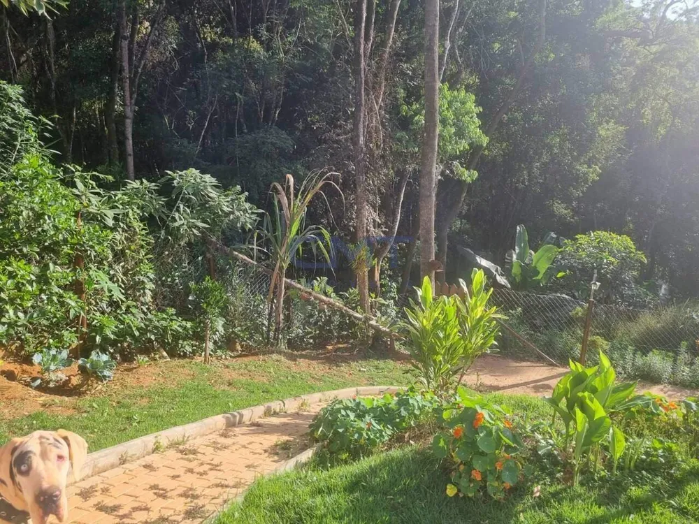Casa, 4 quartos, 360 m² - Foto 5