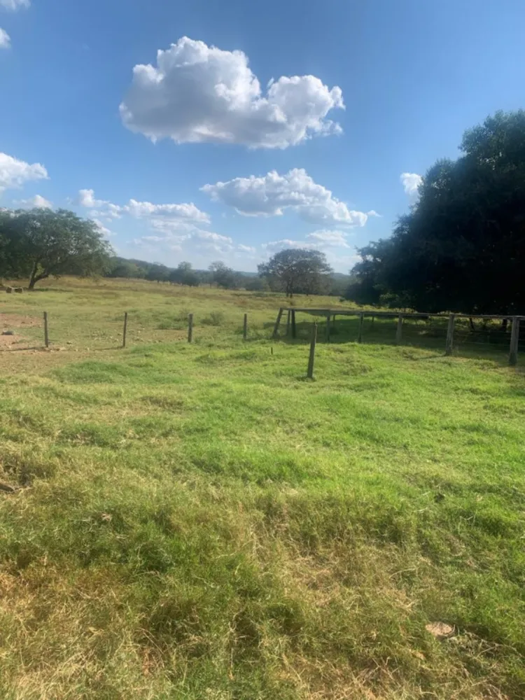 Fazenda, 12 quartos - Foto 9
