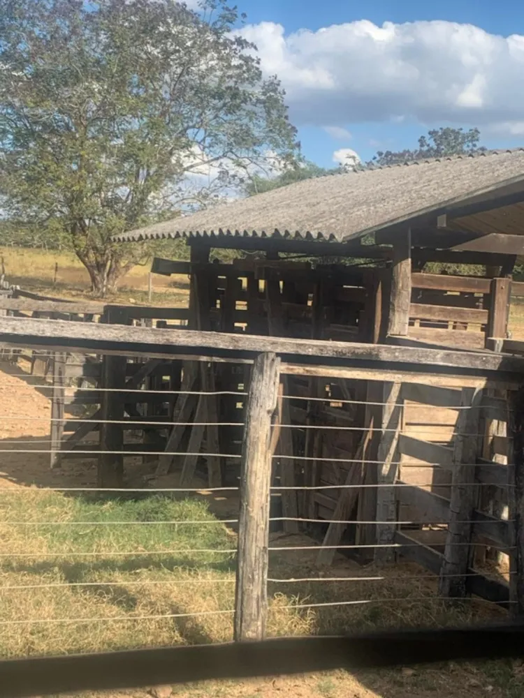 Fazenda, 12 quartos - Foto 19