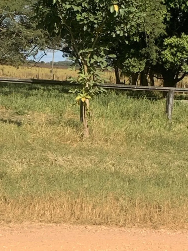 Fazenda, 12 quartos - Foto 6
