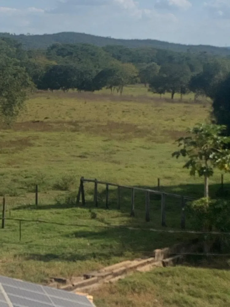 Fazenda, 12 quartos - Foto 4