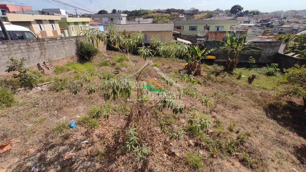 Terreno à venda, 250m² - Foto 8