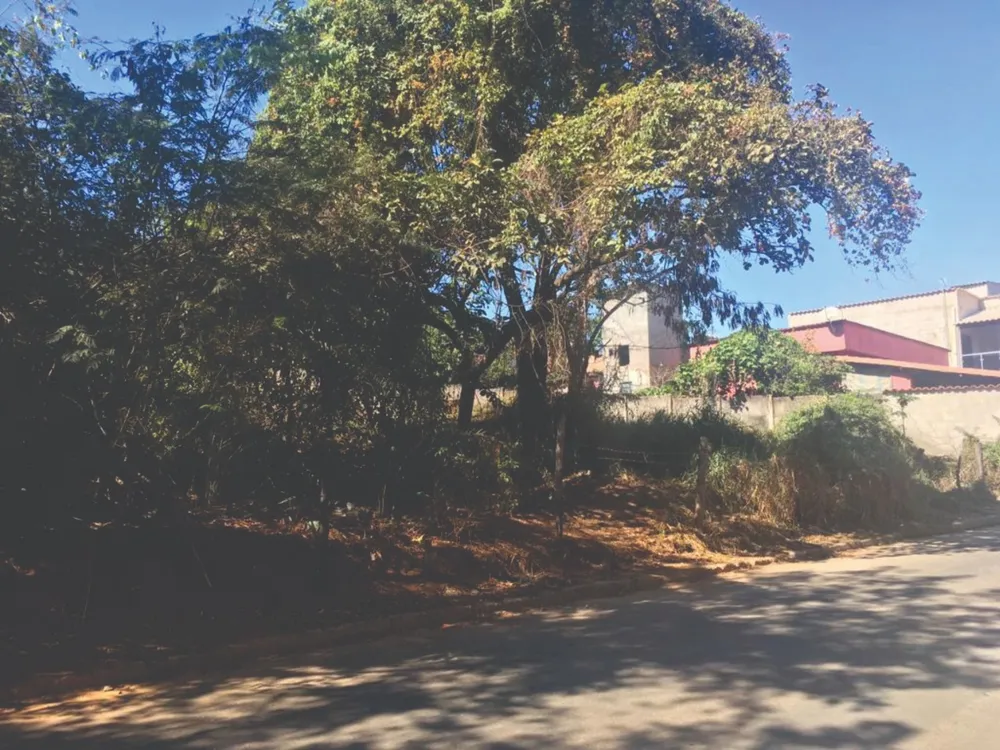 Terreno, 4600 m² - Foto 3