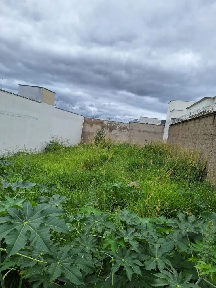 Terreno, 250 m² - Foto 3