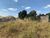 Terreno, 3300 m² - Foto 4