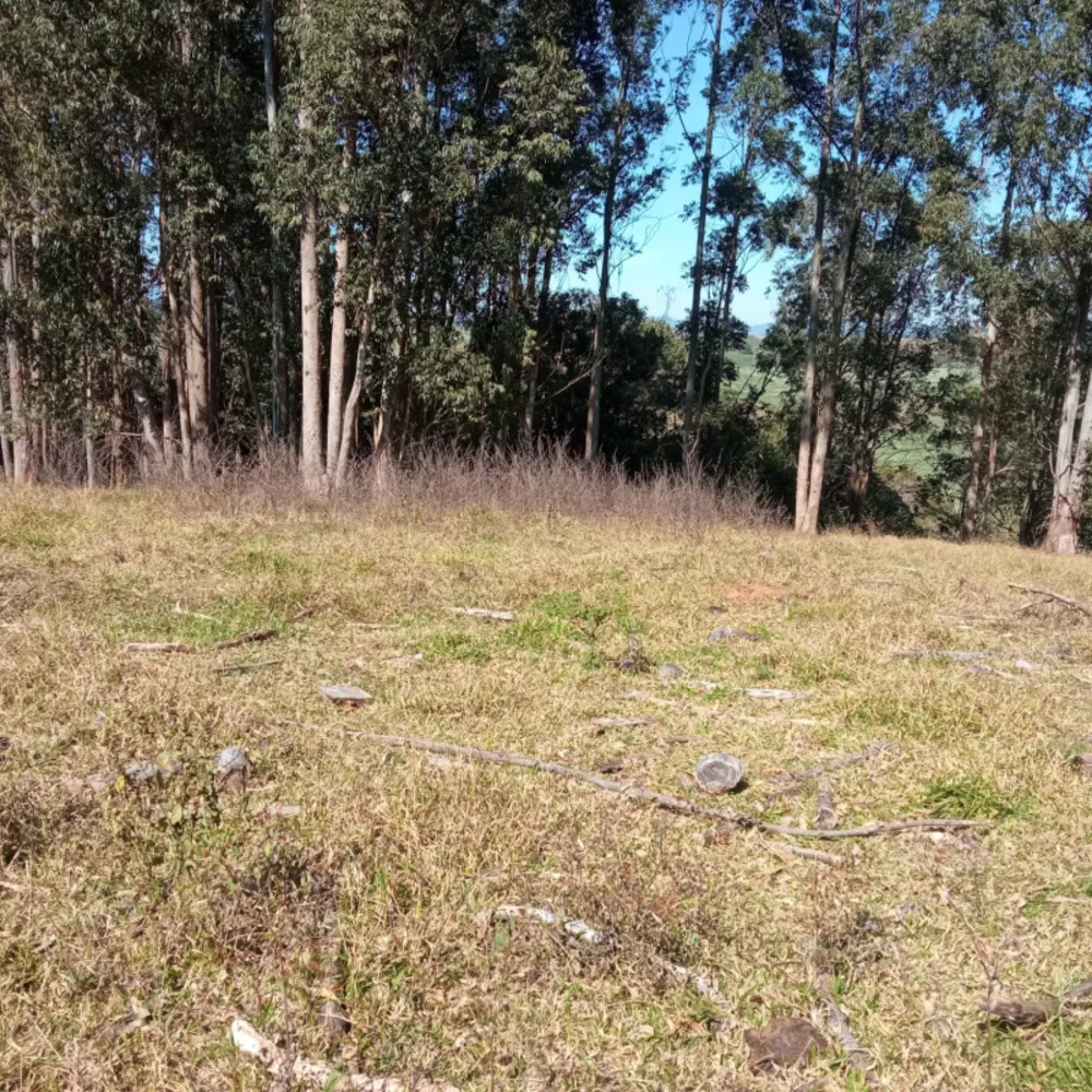 Sítio, 1 quarto, 170 m² - Foto 1