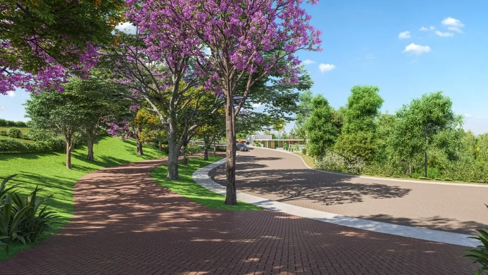 Terreno, 300 m² - Foto 8