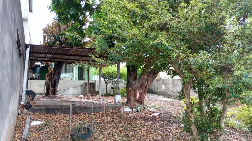Casa, 2 quartos, 360 m² - Foto 3