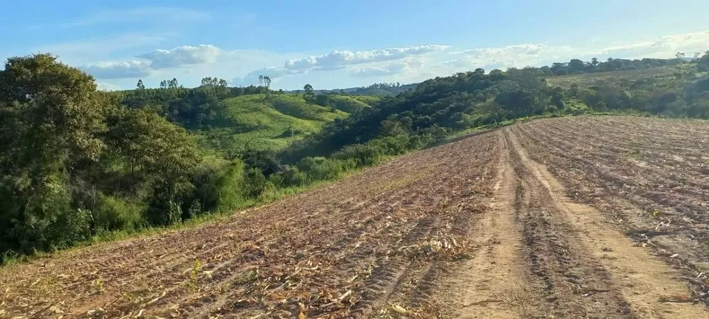 Fazenda, 150 hectares - Foto 5