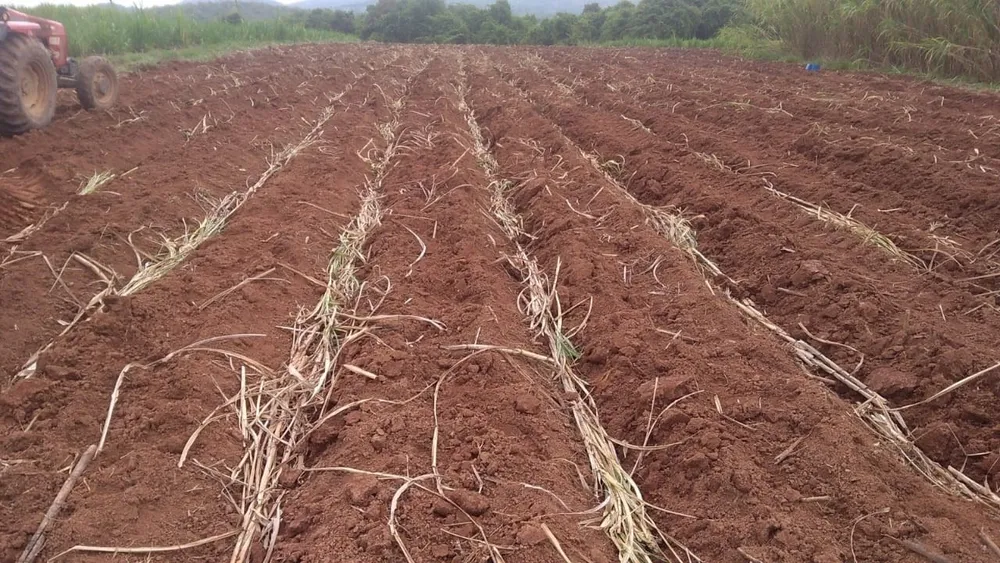 Fazenda, 150 hectares - Foto 8