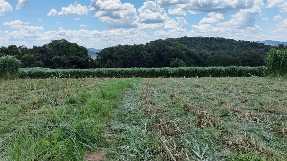 Fazenda, 150 hectares - Foto 3