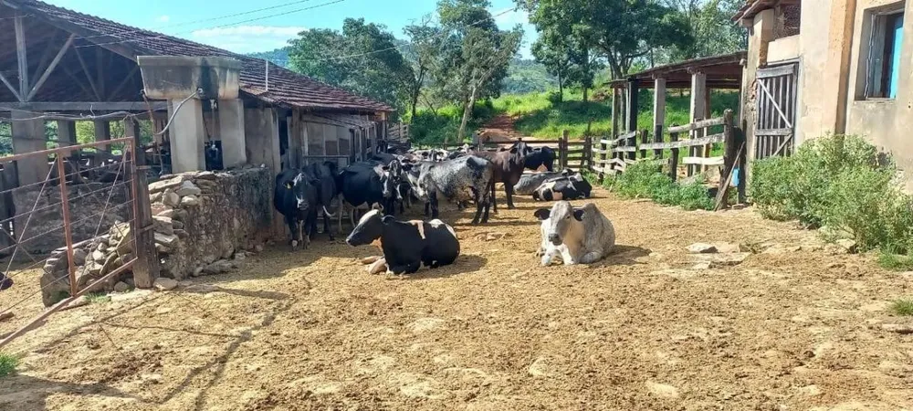 Fazenda, 150 hectares - Foto 7