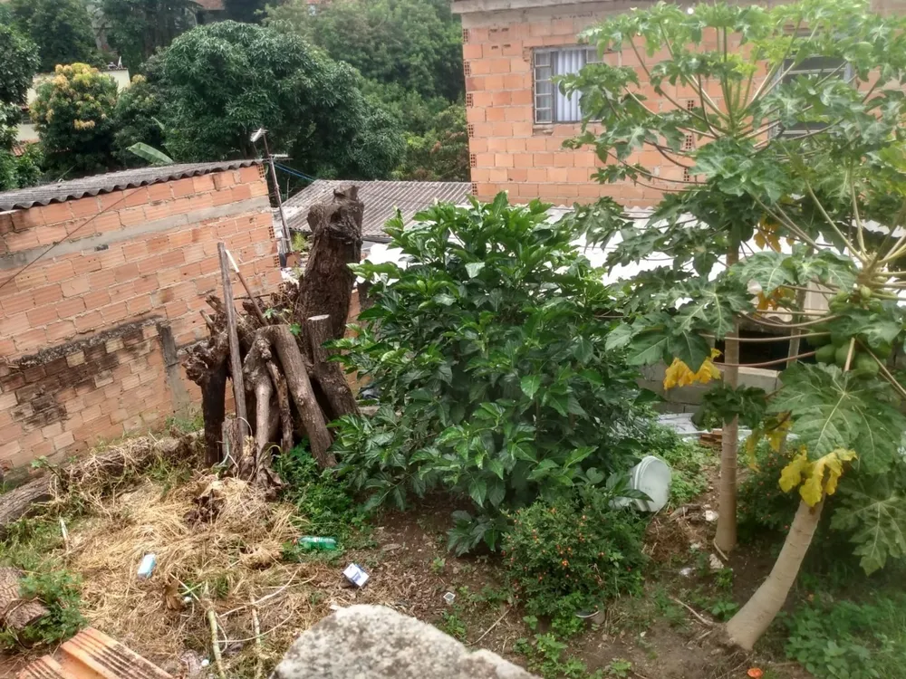 Casa, 4 quartos, 65 m² - Foto 7