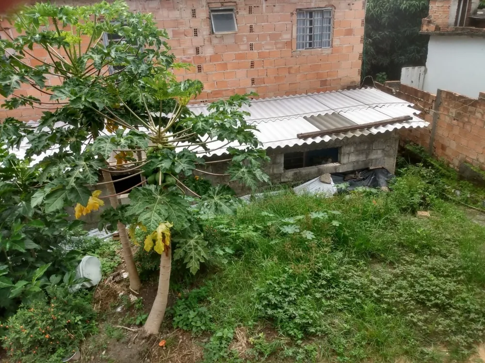 Casa, 4 quartos, 65 m² - Foto 16