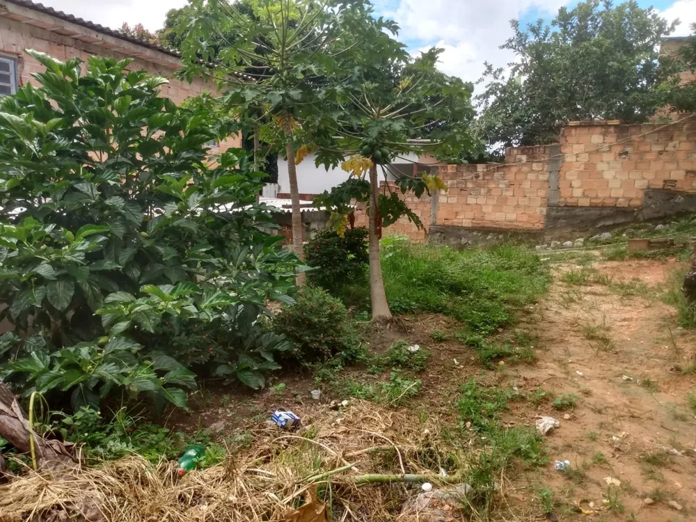 Casa, 4 quartos, 65 m² - Foto 6
