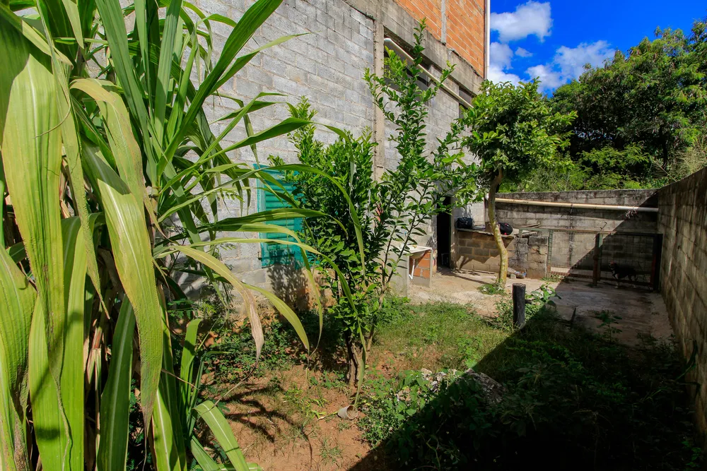 Depósito-Galpão - Foto 16