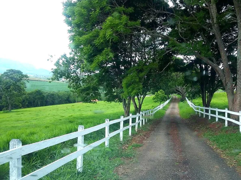 Fazenda, 653 hectares - Foto 2