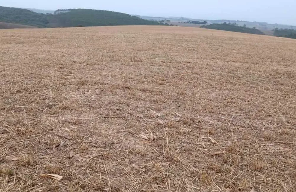 Fazenda, 653 hectares - Foto 1