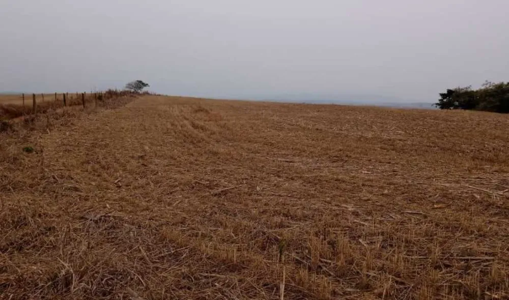 Fazenda, 653 hectares - Foto 15