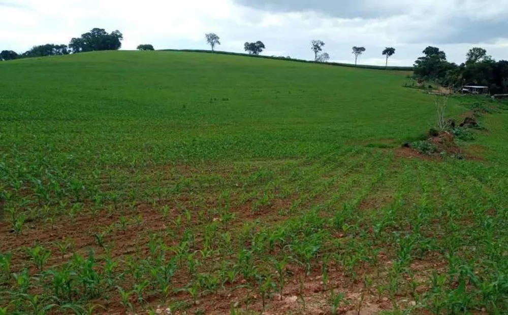 Fazenda, 653 hectares - Foto 2