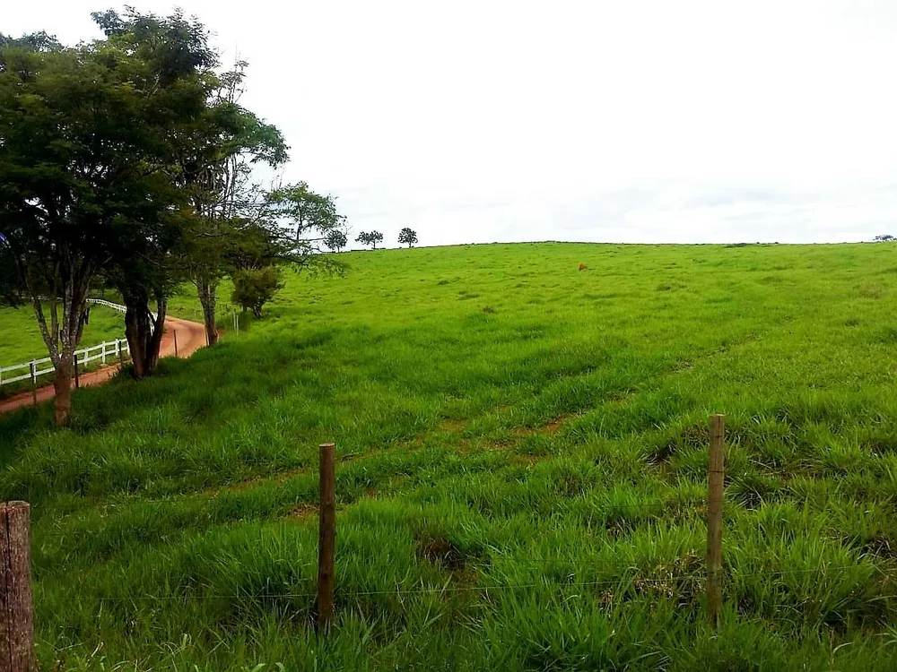 Fazenda, 653 hectares - Foto 3