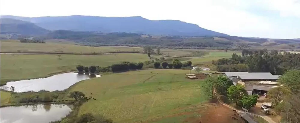 Fazenda, 653 hectares - Foto 4