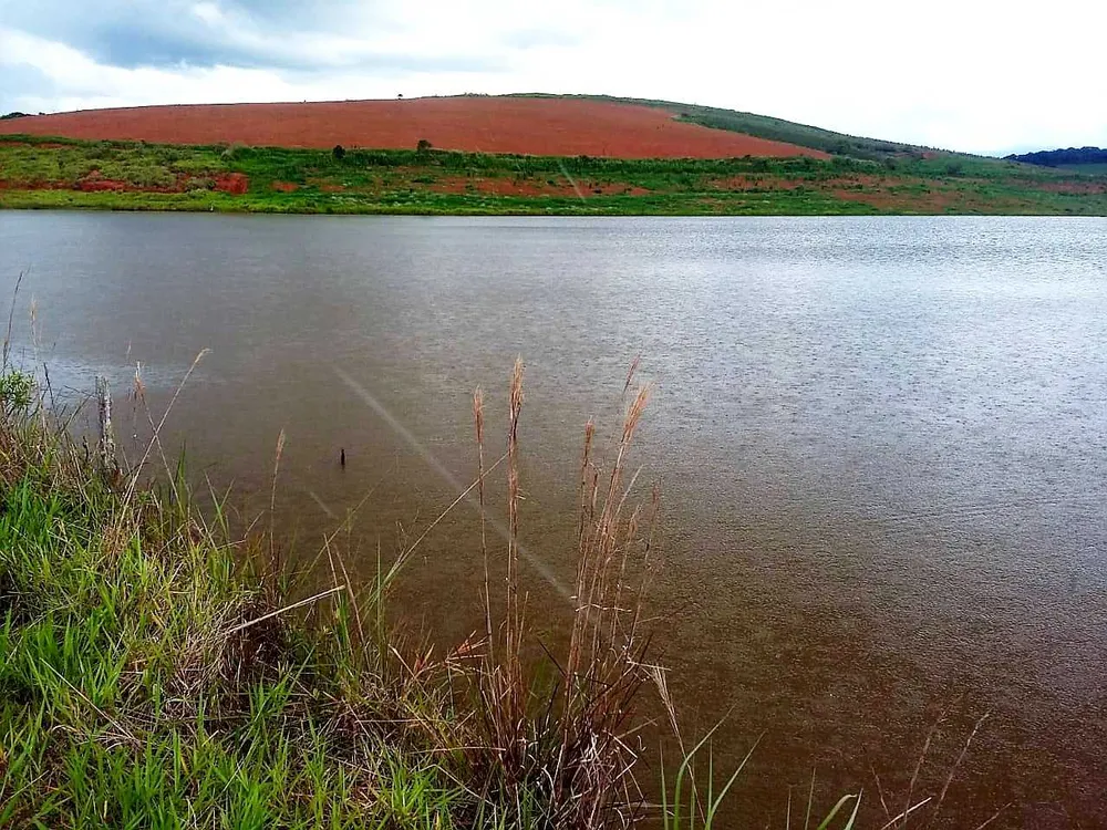 Fazenda, 653 hectares - Foto 6